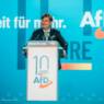 L’AfD fait du pied au Fidesz