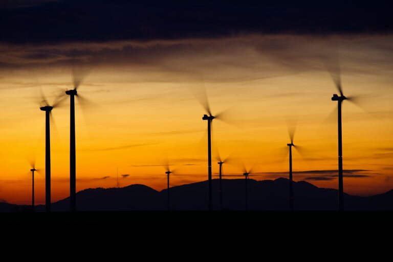 «Elle l’a résolu dans sa chambre d’étudiante»: découvrez comment une étudiante a percé un mystère mathématique centenaire bouleversant l’efficacité des éoliennes pour toujours