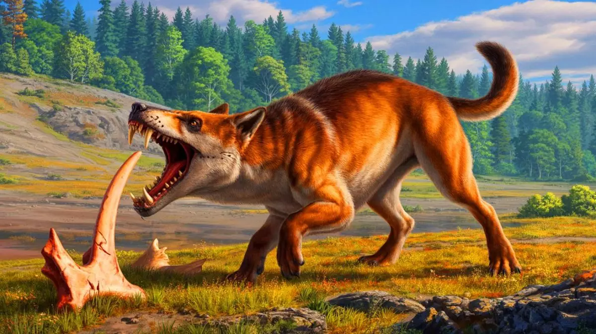 Illustration of the Epicyon, the largest prehistoric canid with bone-crushing jaws. Image generated by AI.