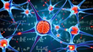 Illustration of neurotransmitters GABA and glutamate influencing mathematical proficiency. Image generated by AI.