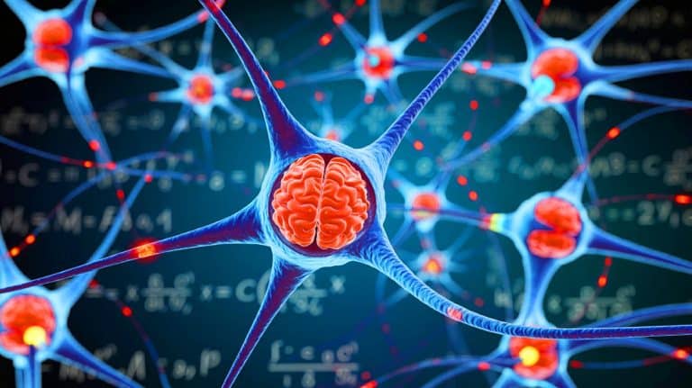 “Scientists Stunned by This Hidden Factor: The Real Reason You’re Terrible at Math Finally Revealed, and It’s Not Your Fault”