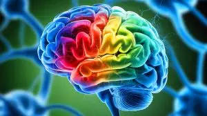 Illustration de l'impact neurologique potentiel des intoxications alimentaires. Image réalisée par IA.