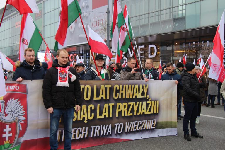 American Left interfering in Poland’s Oct. 15 elections after failed attempt in Hungary last year – Interview