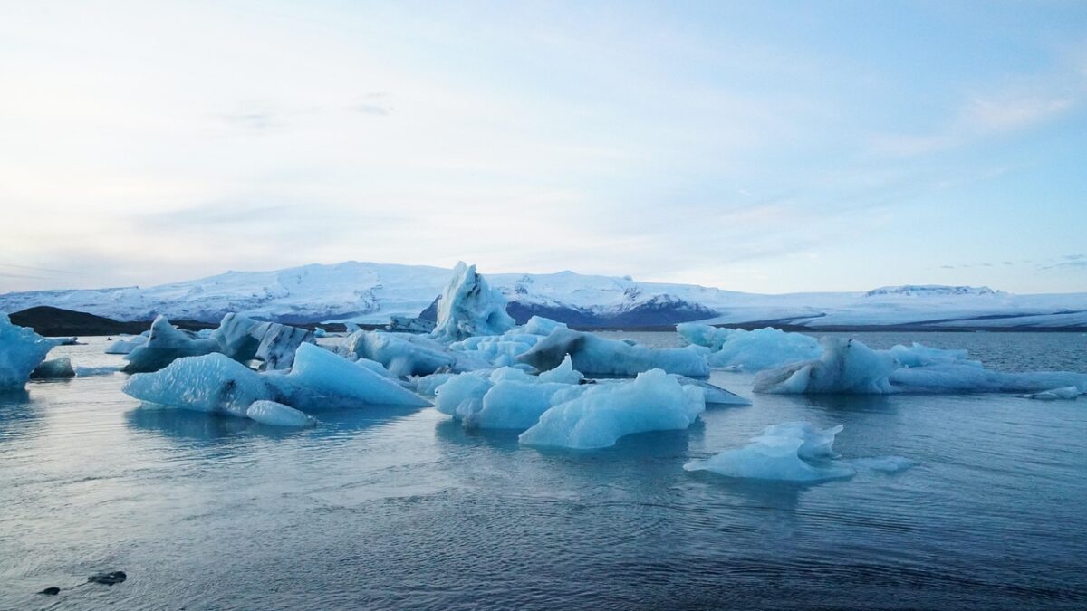 Icebergs bleutés flottant sur un lac glaciaire calme, avec des montagnes enneigées à l'arrière-plan sous un ciel pâle.