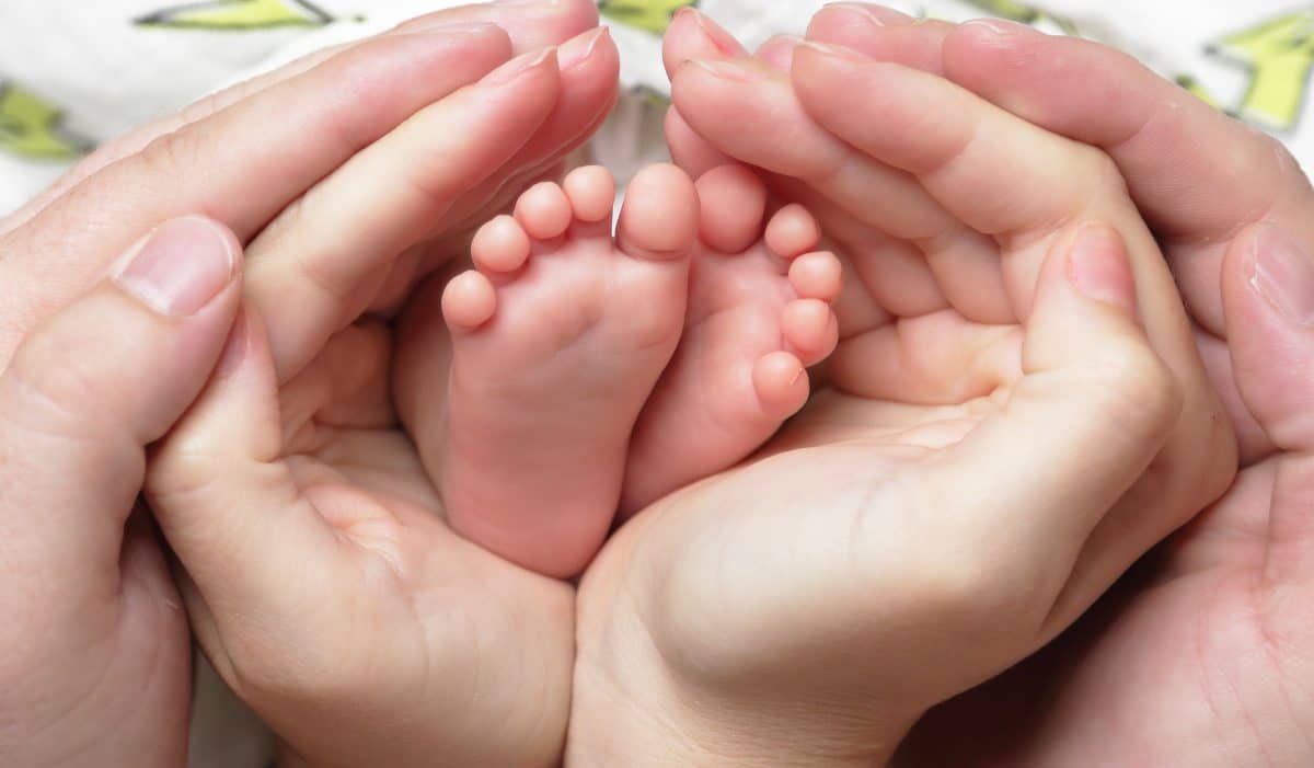 Poland: PiS reinforces its pro-family policy