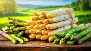 Illustration de l'asperge blanche allemande devenant un produit de luxe face à la concurrence et aux coûts croissants. Image réalisée par IA.