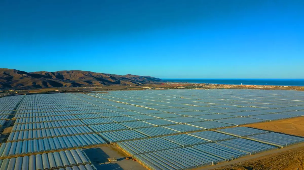 Illustration of the expansive Sea of Plastic greenhouses in Almería, Spain, visible from space. Image generated by AI.