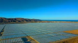 Illustration of the expansive Sea of Plastic greenhouses in Almería, Spain, visible from space. Image generated by AI.