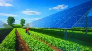 Illustration of Germany's Dual Harvest farms integrating solar panels with agriculture. Image generated by AI.