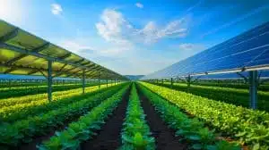 Illustration de l'intégration des panneaux solaires au-dessus des cultures agricoles en Allemagne. Image réalisée par IA.