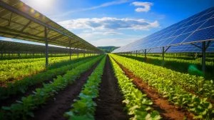 Illustration von Dual Harvest Technologie, die Landwirtschaft und Solarenergie kombiniert. Bild durch KI generiert.