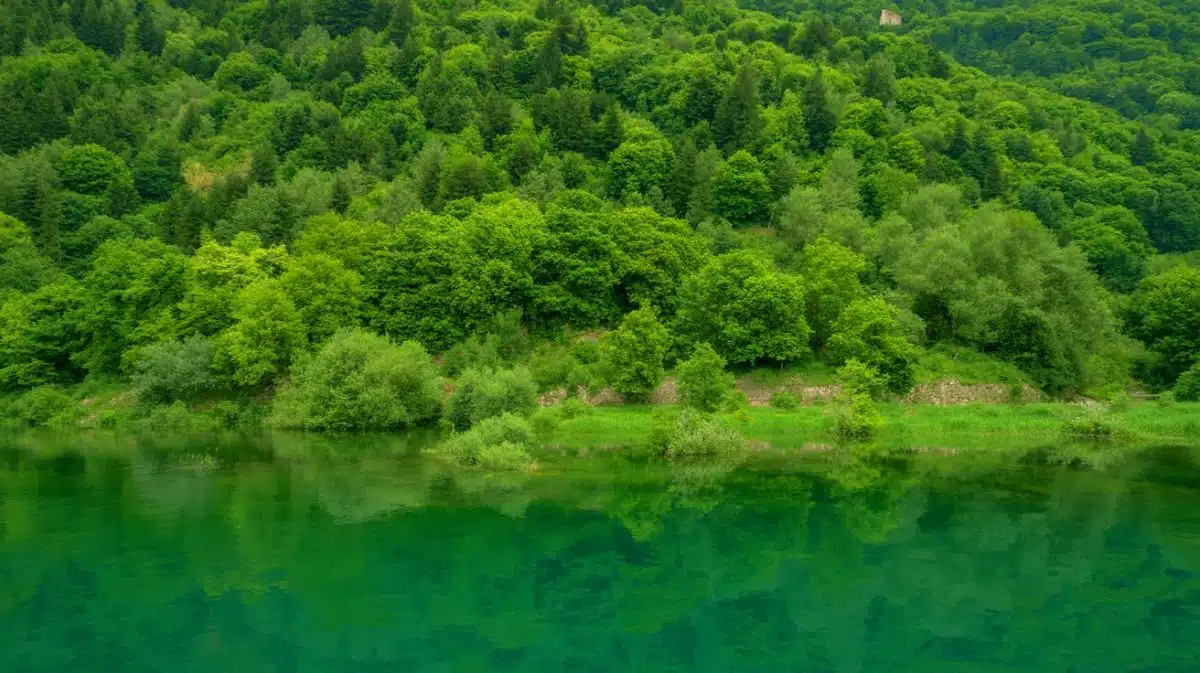 Illustration of the unclaimed territory between Croatia and Serbia, known as the Free Republic of Verdis.