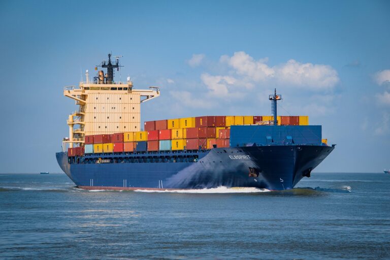 „Die Natur wird geopfert“: Anwohner entsetzt über Mega-Hafen am größten Bauplatz der Welt: Wer zahlt den wahren Preis?