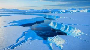 Illustration de l'écosystème fossile découvert sous la calotte glaciaire de l'Antarctique.