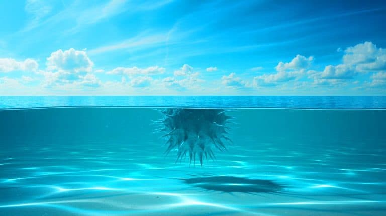 « Cette eau peut tuer en quelques heures » : la bactérie mangeuse de chair sème la terreur sur les plages américaines, plusieurs décès inquiètent les vacanciers et les autorités