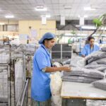 Europe’s circular economy target needs skills as well as recycling capacity