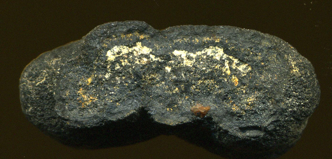 Close-up of a dark, rough, lobed rock with pale yellowish patches and a small orange-brown fragment, on a dark background.