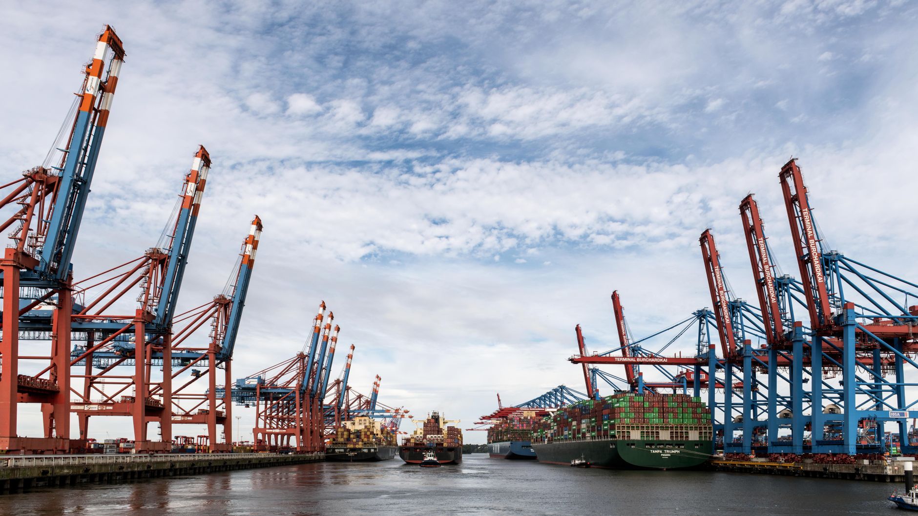 Container terminal cranes on the waterfront under a cloudy sky.