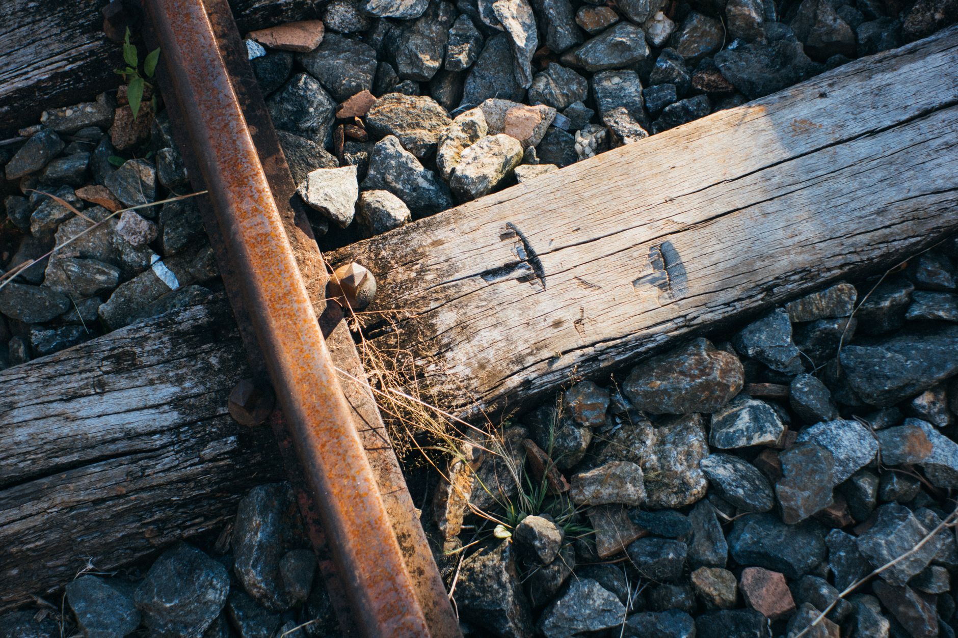 Gros plan d’un rail rouillé sur des traverses en bois usées, entouré de pierres de ballast et d’herbes sèches.