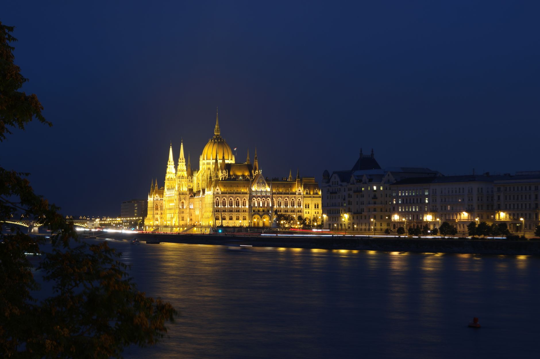 Large floodlit neo-Gothic domed building on a river bank at night, with lit historic buildings alongside and dark tree leaves in the foreground.