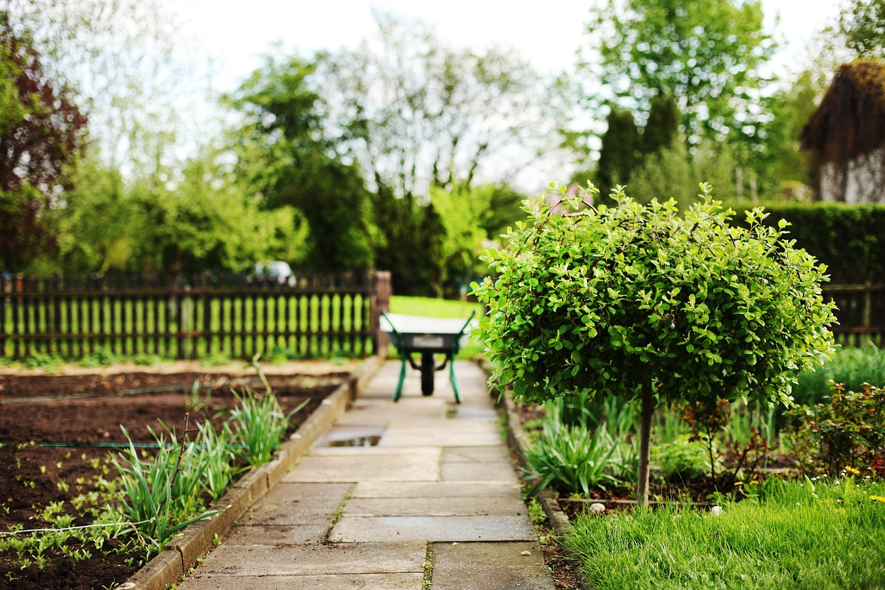 Wheelbarrows standing outdoors on a garden plot ready for work